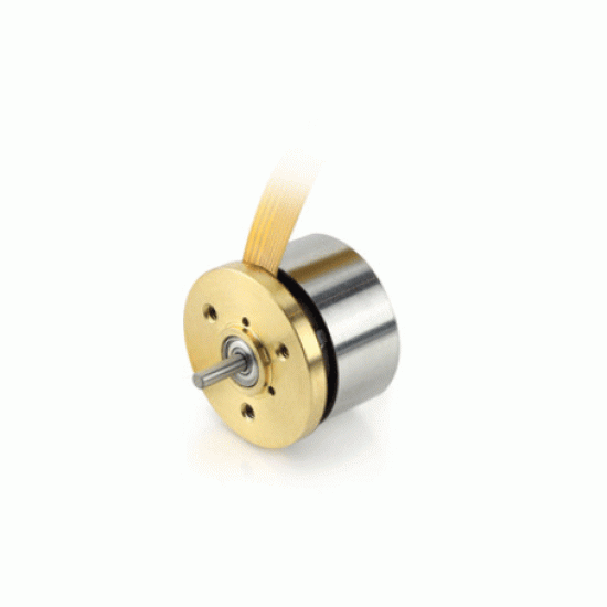 20mm Outer Rotor BLDC Motor, 12V/24V, 5W, High Speed