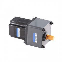 300W DC Gear Motor, 12V/24V/36V/48V