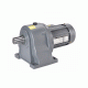 750W (1 hp) AC Gear Motor, Three Phase, Single Phase