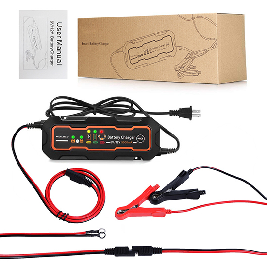 12V Car Battery Charger, 110V/220V Input