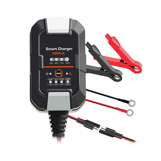 6V/12V Car Battery Charger, 1A, 110V/220V Input