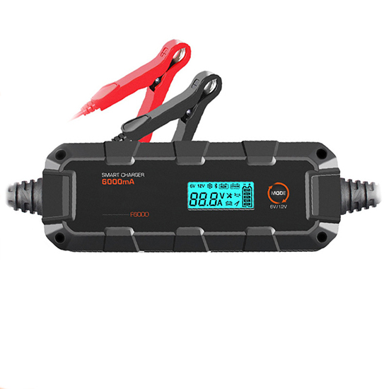 12V Car Battery Charger, 6A, 110V/220V Input